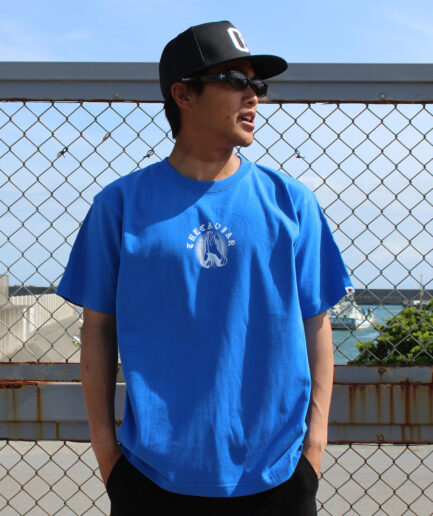 プリントTEE PRAY